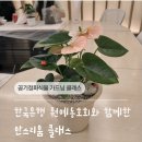 행잉플랜트 공기정화식물체험 | 한국은행 직장인 공기정화식물 가드닝클래스 출강