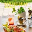 컴프하우스(컴프카페) | 파주 대형카페 추천 컴프에비뉴 COMF AVENUE 분위기...카페 연어샐러드 카페프로즌 내돈내산 솔직후기