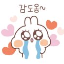 구공스테이 안토이 비토 이미지