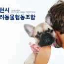 춘천시반려동물협동조합