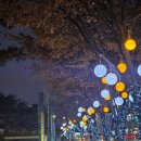 10월 커튼콜 | 엄마와 함께하는 2025년 뮤지컬 맘마미아 대구 좌석 B구역 6열 커튼콜 관람 후기