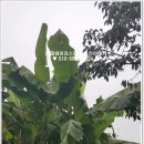 반월동025 이미지