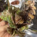 육즙 | 독산동 맛집 삼겹살 '금백돈' | 육즙 살아있는 고깃집 후기