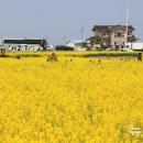 호미곶경관영농조합법인 이미지