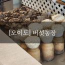한일농장 | [정왕] 버섯 생 농장 얼큰한 버섯 육개장과 고소한 버섯 돌솥비빔밥 후기