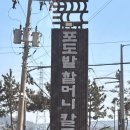 포도밭그집 | 대부도의 유명 칼국수집 방문 후기 - 포도밭할머니칼국수