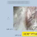 압구정 동물의료센터 이미지