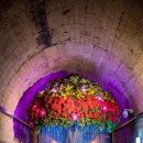 낙동강레일파크 이미지