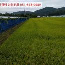 웅양면 오산경로당 이미지