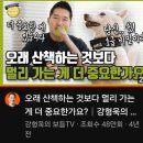 한길자동차 안양1점 | 노견 케어 반성 후회 일기) 산책 시간 횟수 걷기 조절 / 조규만 외과동물병원 후기 구경 병원 추천