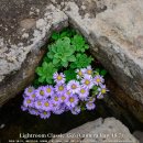 무료 오픈소스로 라이트룸을 대신할 수 있을까? - LightCraft 잠깐 사용기 이미지