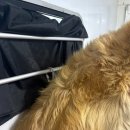 멍즈니랜드 이미지