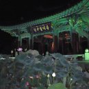 국채보상공원 Daum카페
