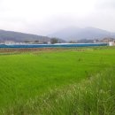 이삭도우미 이미지