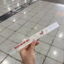 2025 메가주 일산 토요일 방문 후기 피카노리 개모차 구매