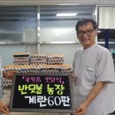반딧불계란