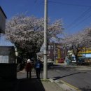 위미의원 이미지