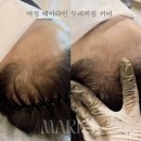 마리엘헤어 이미지