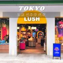 도쿄 신주쿠 러쉬(LUSH) 후기! 일본 한정 시바견 배쓰밤부터 마리오 콜라보까지