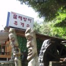 2009.06.11...충북 충주 북바위산..772m....50 이미지