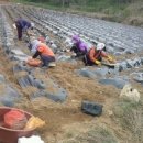 상평농장 이미지