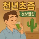 한입과일 서수원 | [공지] # 천년초 즙 효능 정보 꿀 팁｜장 건강 개선·피부 진정·항산화·면역력 관리