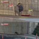 정상호 농장 이미지