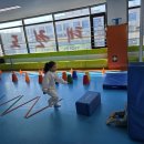 아이짐&박사태권도 이미지