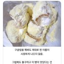 응애나아기회사원
