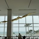 1101 | 강릉 씨마크호텔 갤러리 더블 후기_1101호(feat.조식&amp;라운지)