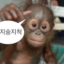 짱서방 - 달성군 화원로 37 | 짱서방