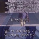 최고집짬뽕 이미지