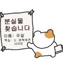 카페인더뷰 이미지