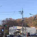 판암동181 | [스타벅스 대전 용운점] 플라스틱 텀블러 구입 후기 / 그린 사이렌 듀아 워터 보틀 621ml