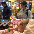 풍 이미지