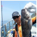 신진도조이 이미지