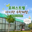 삽존농장 | 용인 포레스트벨 아이와 감자캐기 체험｜가격·주차·동물 먹이주기 후기