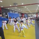 용인대 아이스타 태권도장 이미지