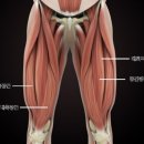 클라라필라테스자이로토닉 네이버블로그