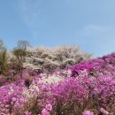 미꼬담 부천까치울점 이미지