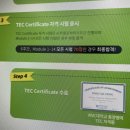 초등영어지도사(자격증) 이미지