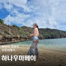 [하와이 신혼여행] 하나우마베이 풀패키지 투어 후기 (셔틀/텐트/스노쿨링장비/점심 포함)