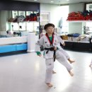 한미태권도장 이미지