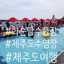 화순리마을회 | 제주도 수영장 무료 화순 담수풀장 후기
