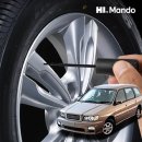 카스타나 이미지