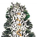 2007-주018 이미지