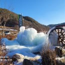 264청포도와인,도산서원(26-01-13) 이미지