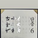 무궁화태권도장 이미지