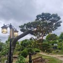 알베로하우스 | 김해 대형 식물카페 알베로