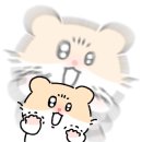 생생낙지송내점 이미지